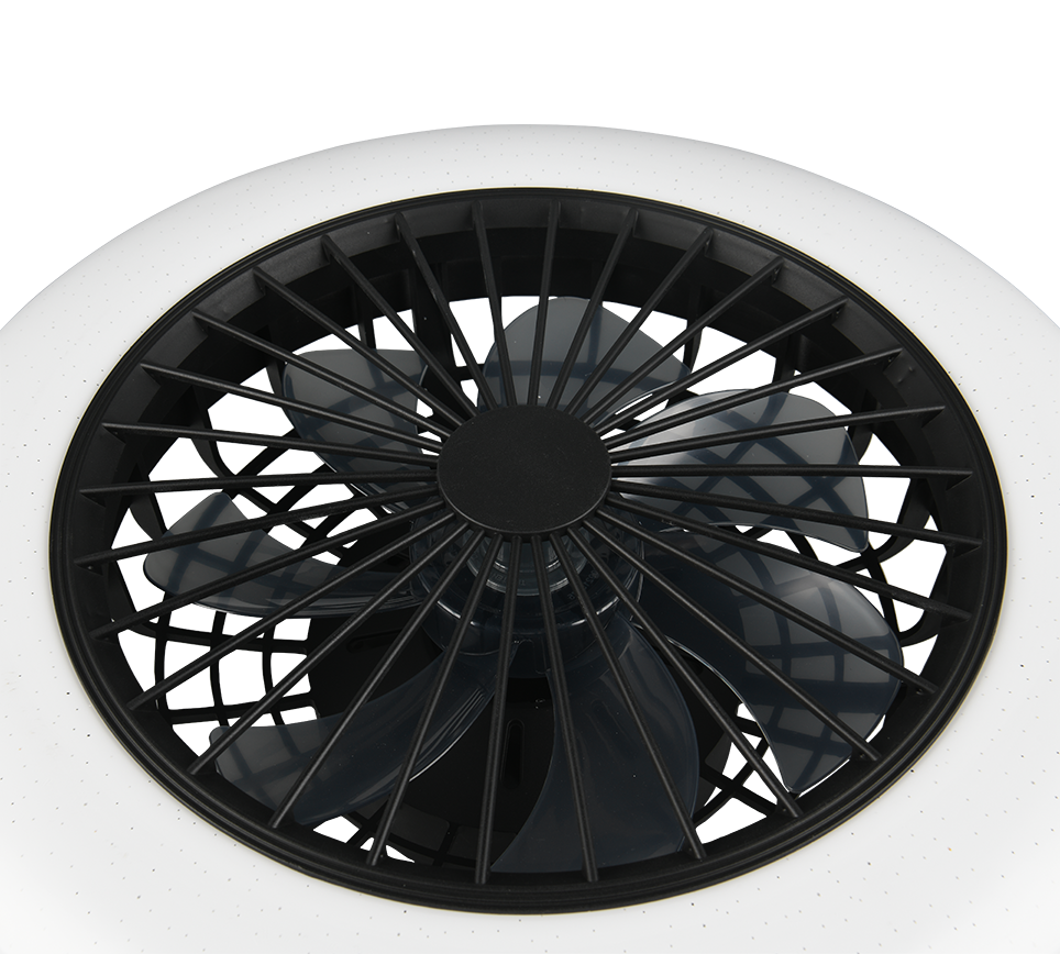 Trio Lighting Stralsund LED Black Ceiling Fan Light