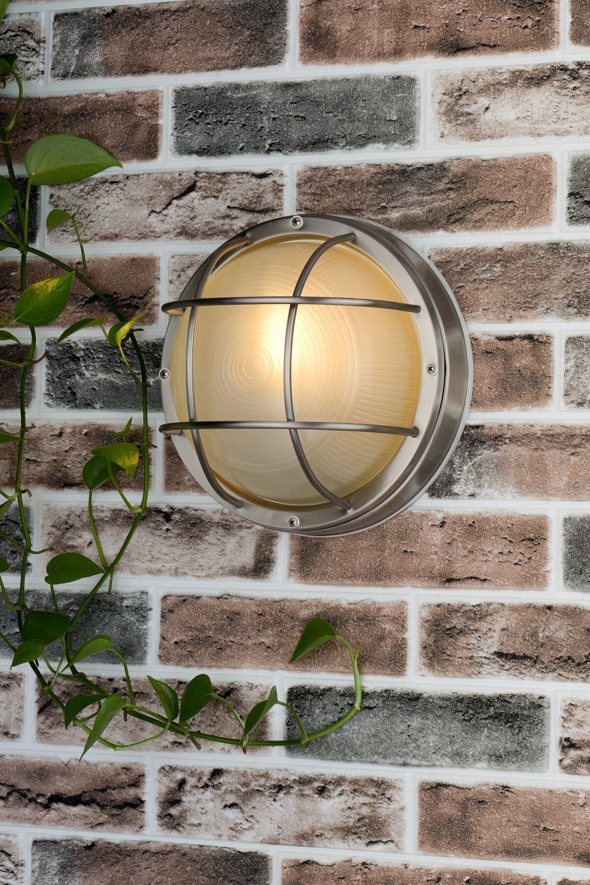 Dar Lighting Salcombe Outdoor IP44 Round Stainless Steel Glass Wall Light