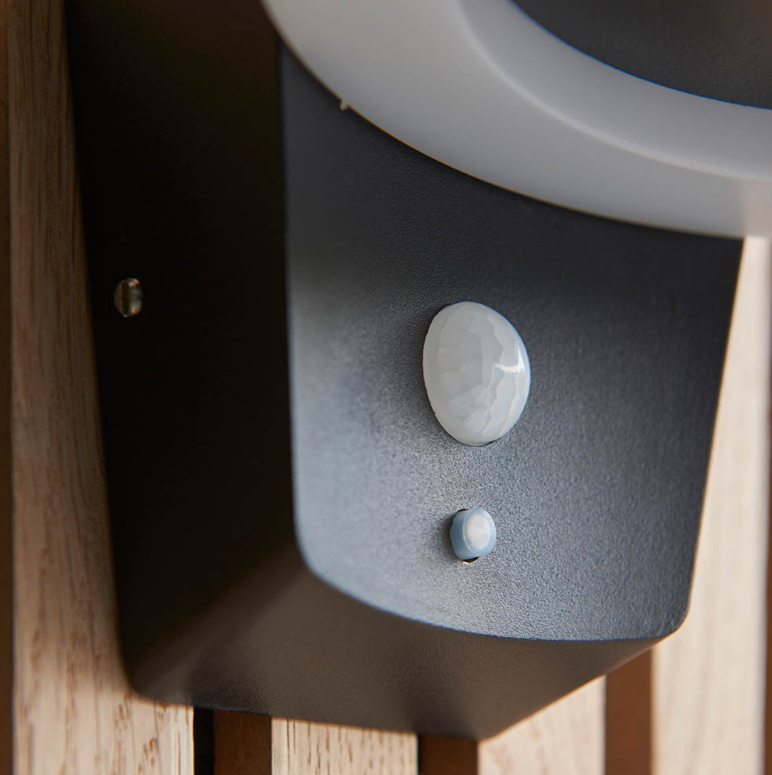 Endon Ebro Outdoor Solar Power & PIR Wall Light