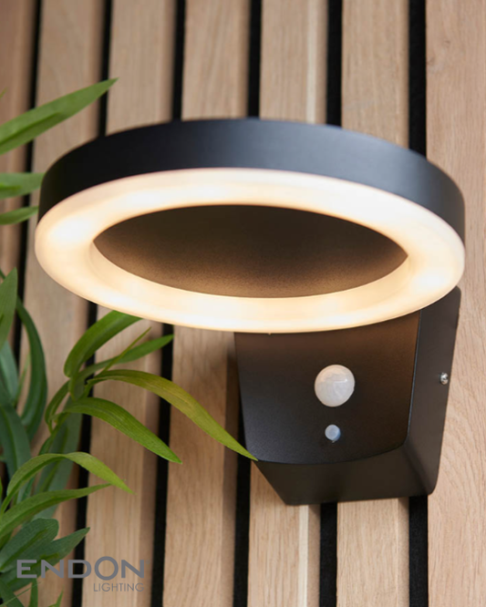 Endon Ebro Outdoor Solar Power & PIR Wall Light