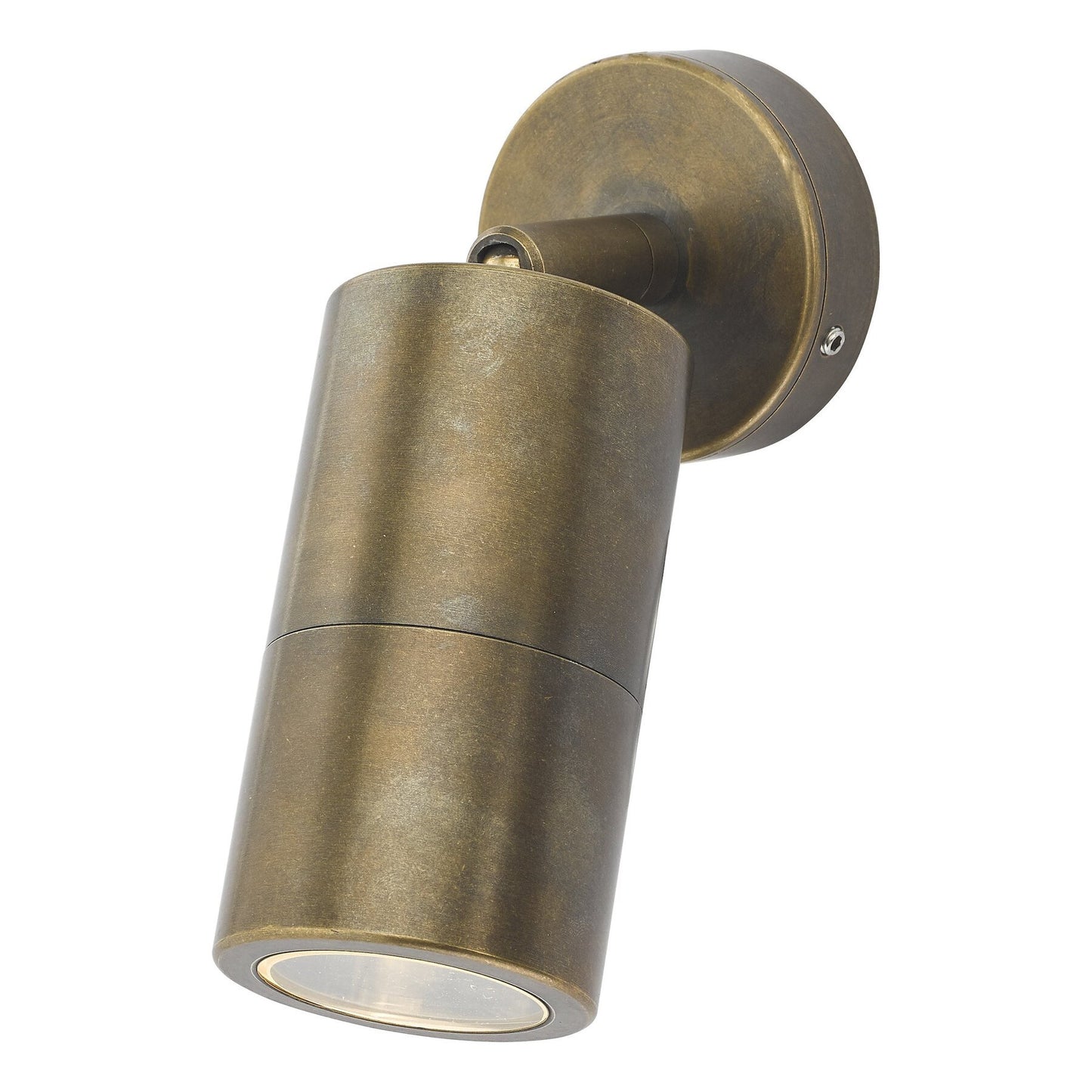 Dar Lighting Ortega Outdoor Natural Brass IP65 Single Spotlight
