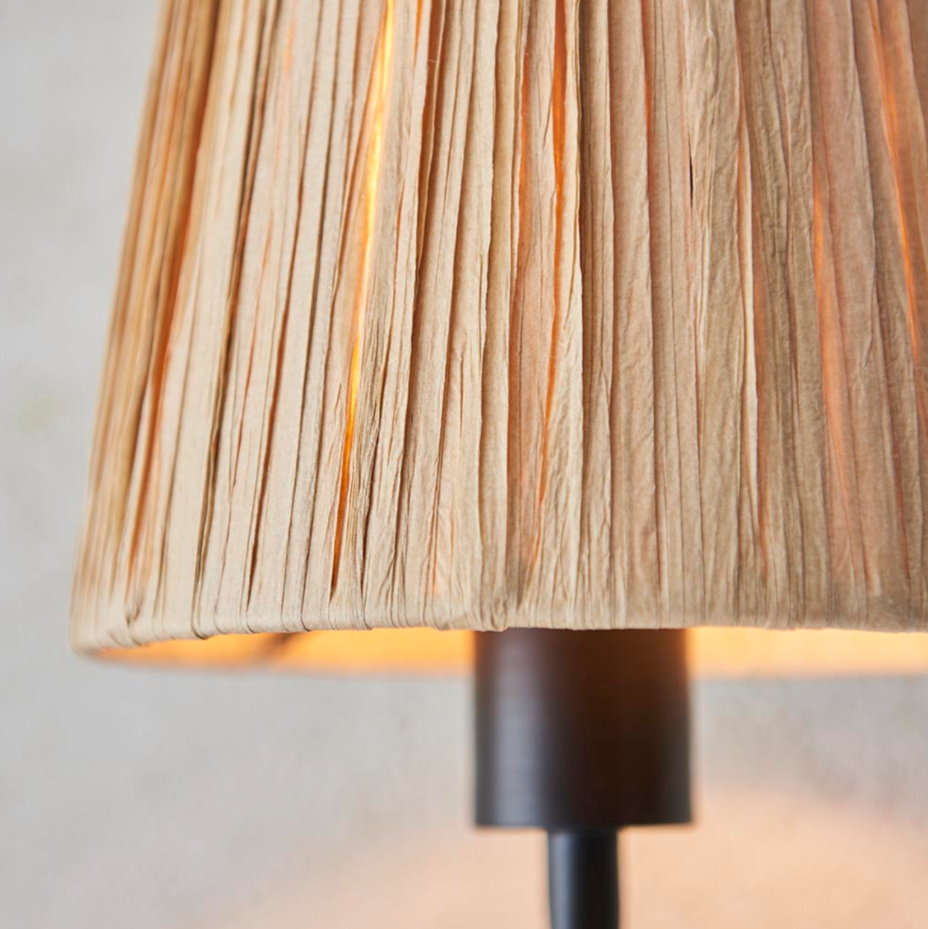 Endon Wriggle Matt Black Wall Light with Raffia Shade