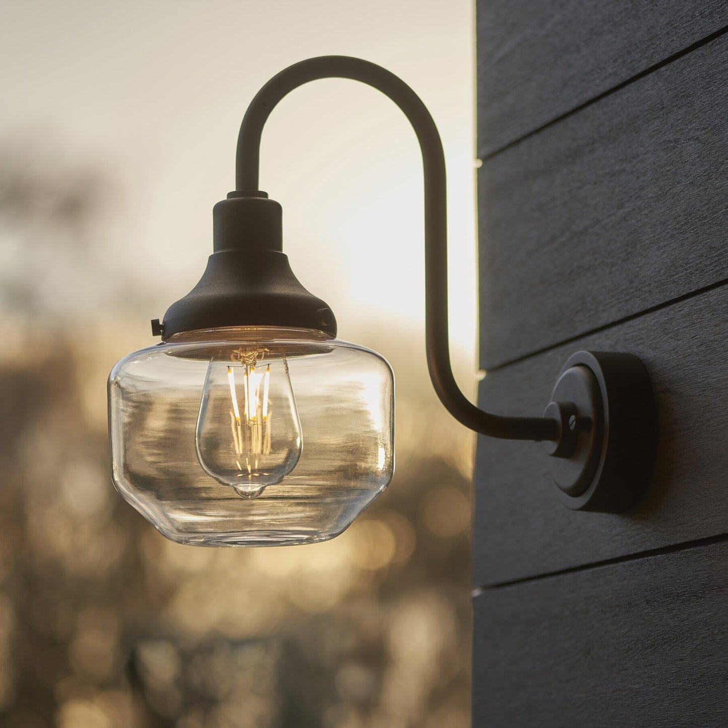 Vesilo Lighting Serpent Outdoor IP44 Black Swan Neck Wall Light